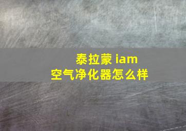 泰拉蒙 iam空气净化器怎么样